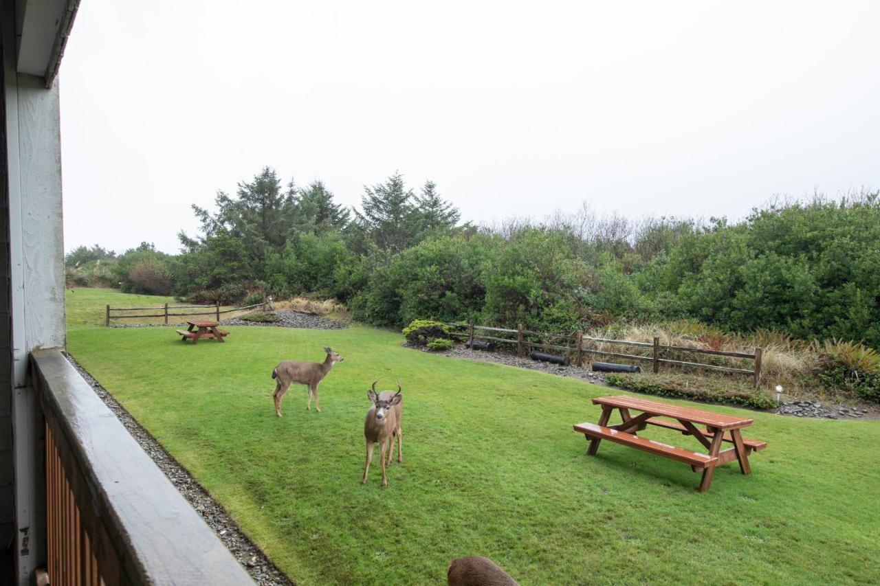 Aurora At Nautilus - Pet Friendly Oceanfront Condo Ocean Shores Exterior foto