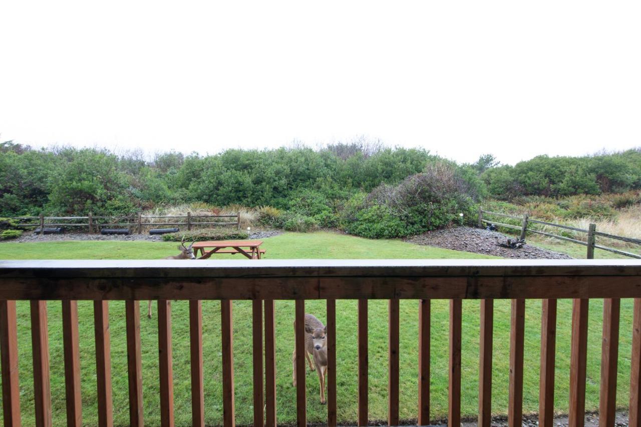 Aurora At Nautilus - Pet Friendly Oceanfront Condo Ocean Shores Exterior foto